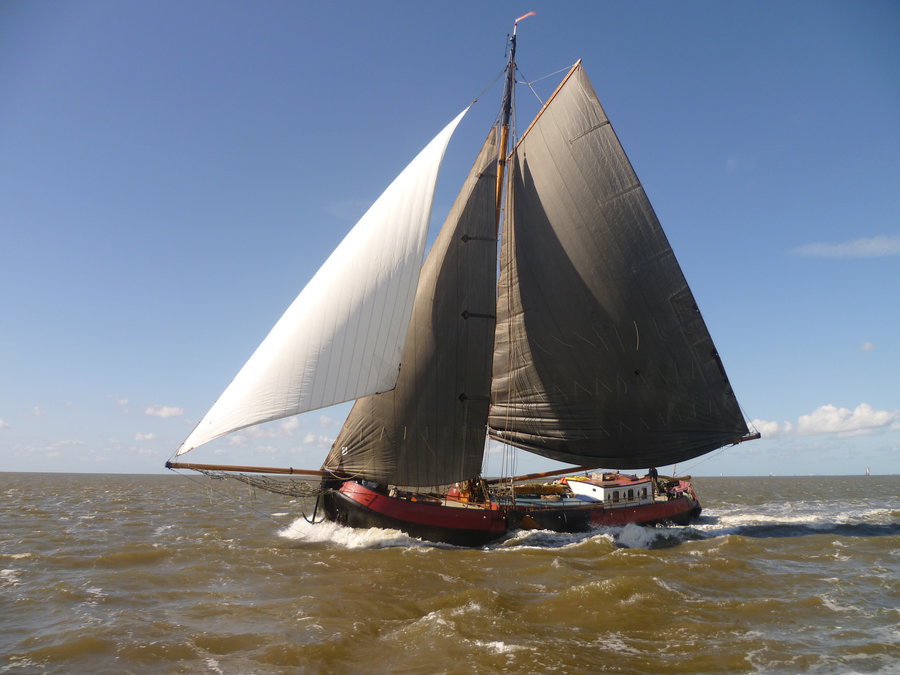 Zeilen Markermeer Met Kinderen