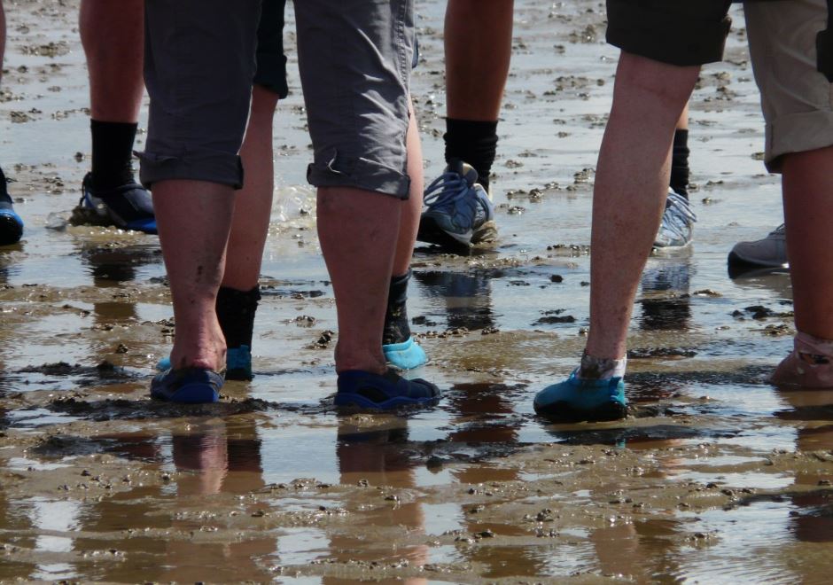 Zeiltocht Uur Op Het Wad Zeilen En Wadlopen Zeilendeschepen Nl